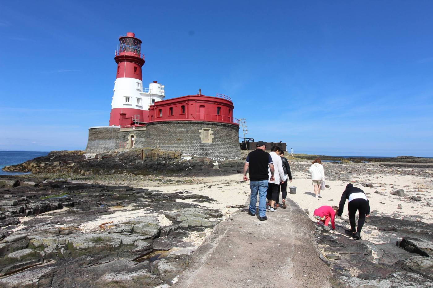 All Trips | Golden Gate Farne Islands Boat Trips