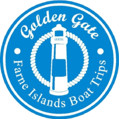 Golden Gate Farne Islands Boat Trips